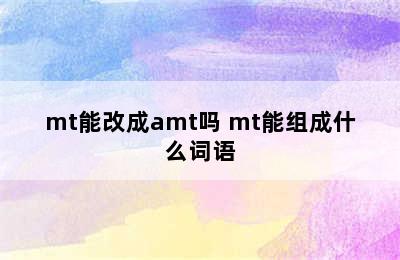 mt能改成amt吗 mt能组成什么词语